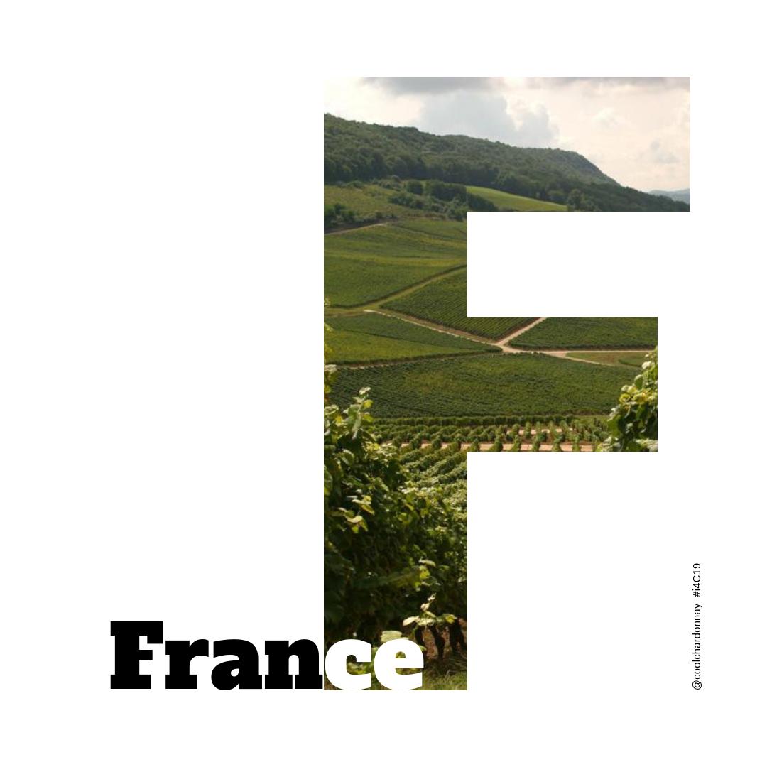 coolchardonnay's tweet photo. As the sun rises on #ChardonnayDay in France, we'd like to say 'bienvenue' to @champfd, #FrancoisMartenot, @domainelaroche, @gbvins, #LaMaisonDuVigneron, #Moillard and @rochedebellene. On se voit en juillet. https://t.co/X3bqpHEqre