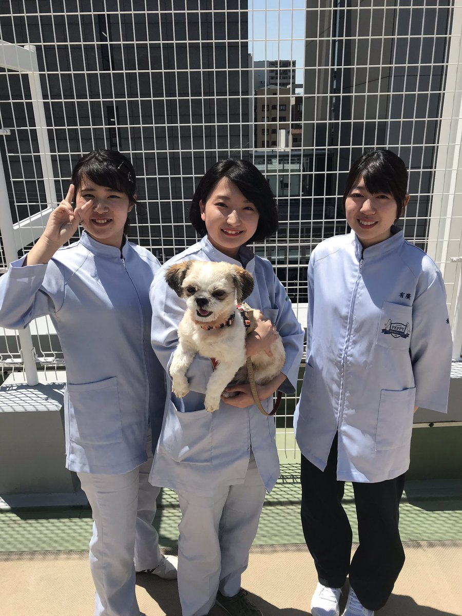 Twitter இல 大阪ペピイ動物看護専門学校 在学生多数の出身高シリーズ 大阪府立長尾高等学校 毎年1名はペピイに 入学してきてくれます 大阪ペピイ動物看護専門学校 ペピイ 長尾高等学校 長尾高校 出身校 Twitter இல 大阪ペピイ動物看護専門学校 在学生多数の出身高シリーズ 大阪府立長尾高等学校 毎年1名はペピイに 入学してきてくれます 大阪ペピイ動物看護専門学校 ペピイ 長尾高等学校 長尾高校 出身校
