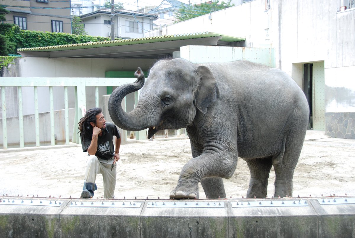 Yuki 動物園の動物 野生で暮らす動物 どちらが幸せとか 動物園の中しか知らない動物 もいるし 人間が決められないよね でも本来の姿が1番良いように思う 多少広くても動物たちにとって動物園は狭い だからこそ せめて毎日退屈しない工夫は大事かなっ