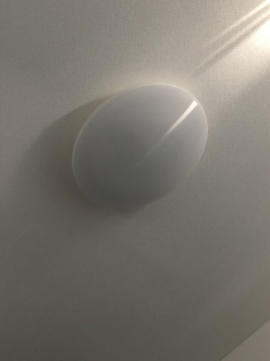 しょーや على تويتر カーテンの隙間から射す光が円グラフの超少数派の人達に見えてきた