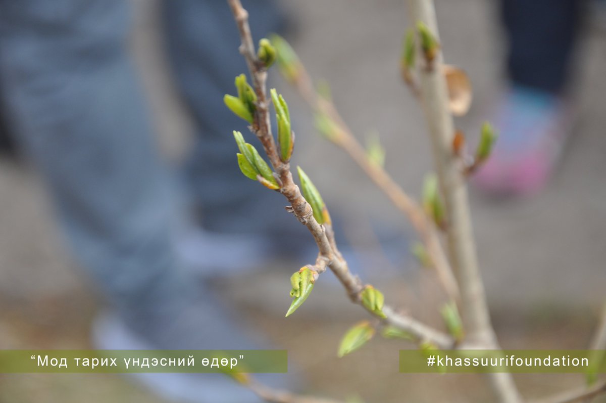 Бүх нийтээр мод тарих өдөр “Хүн бүхэнд цэвэр агаар - мод бүхэнд ус” уриан дор явагдаг билээ. Нийслэлийн Баянгол дүүргийн 28-р сургууль, 40-р сургууль, 77-р, 76-р цэцэрлэгүүдтэй хамтран мод тарив.