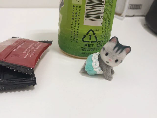 「会社にシルバニアファミリー連れてきてもいいですか？」「いいよ」