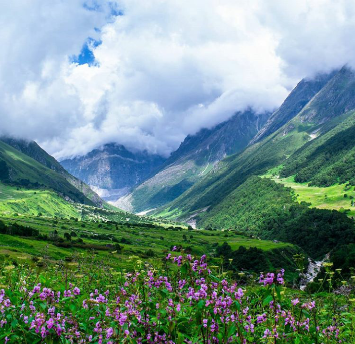 finchantdotcom's tweet photo. Destination of the day : valley of flowers .
.
Visit : https://t.co/zHYBX4Bgqf to rent vehicle
.
#finchant #finchantdotcom #trekking #hiking #camping #outdoor #trekkersofindia #indiatrekking #hikingadventures #indiahikes #joshimath #auli #uttarakhand_beauty #uttarakhand https://t.co/LOb33lSqzC
