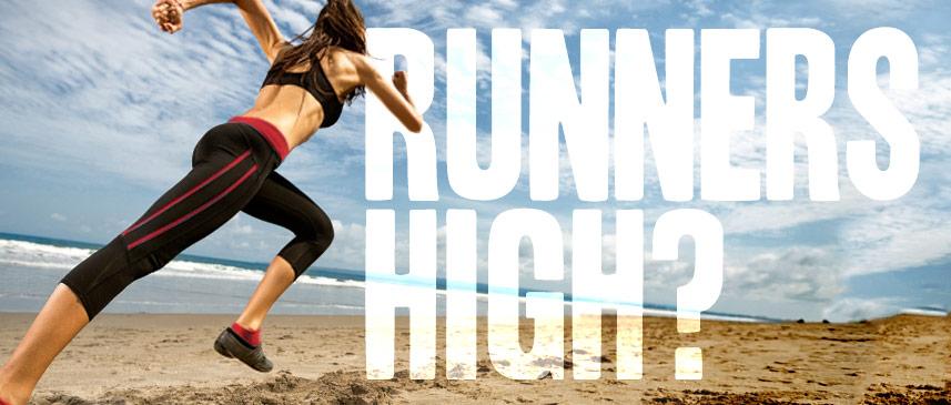 allproscience's tweet photo. Check out our blog &amp; save 15% @ checkout with code: RUN
https://t.co/KPCm1e1Ms3 https://t.co/xSewcOt5E3