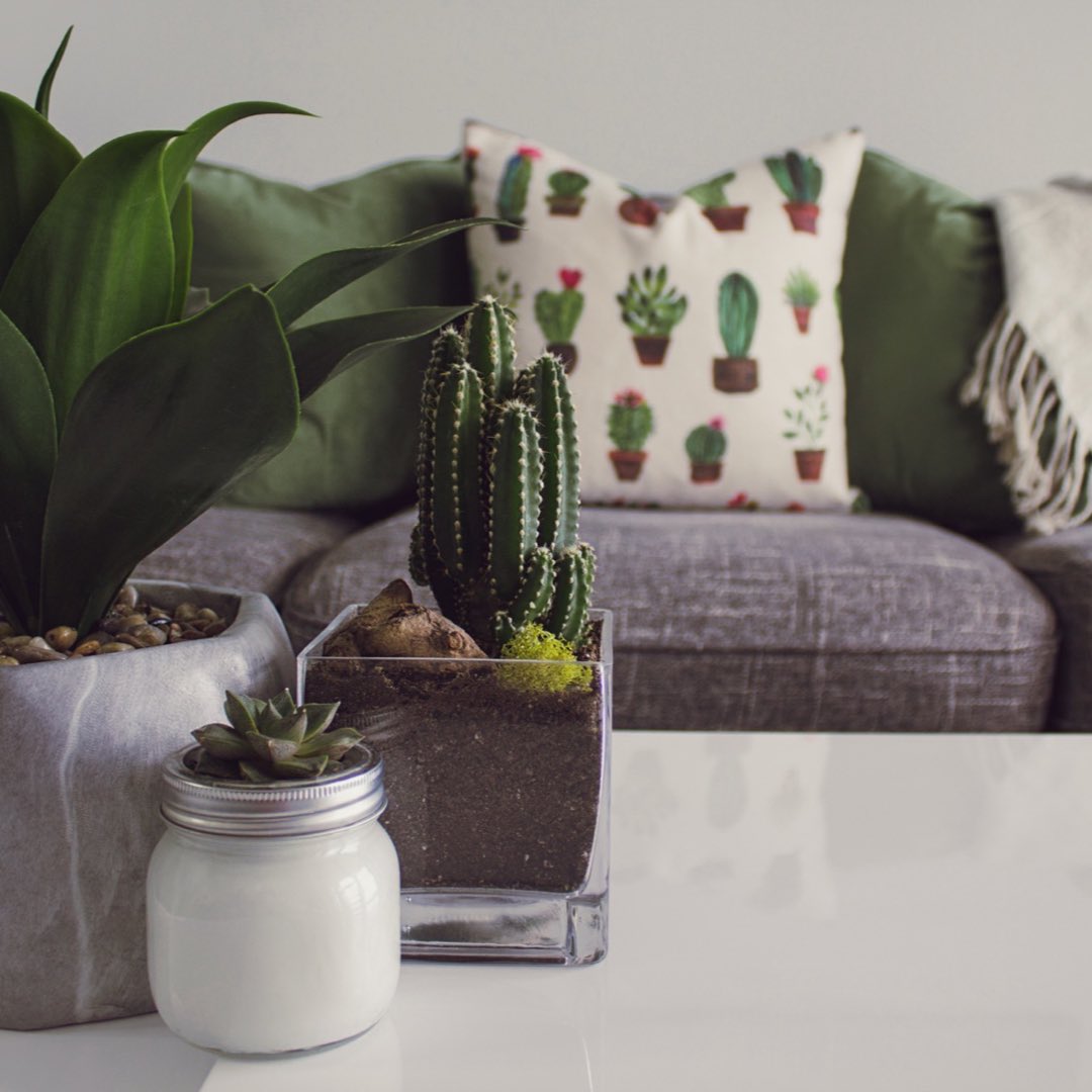 zenGOTzen's tweet photo. Working on a new spring look for the home?  We can help. Not only can we handle tasks around the house like cleaning,meal prep, pet-care (and more!) but we can also help with picking up items for the home....even if they have a certain...*ahem* theme?😂🌵
https://t.co/zwiDcwH5eL https://t.co/kFYcr1H08G