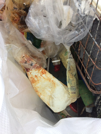 KewishJenny's tweet photo. Went out for a #BeachClean yesterday evening with my husband alongside the #RiverPlym. Managed to finish filling our #DumpyBag from #Oceanrecovery for the #Glastonbury2019 Gas Tower dance arena #Shangrila area. #roadtoglasto2019 https://t.co/hd1K9x0ZZJ