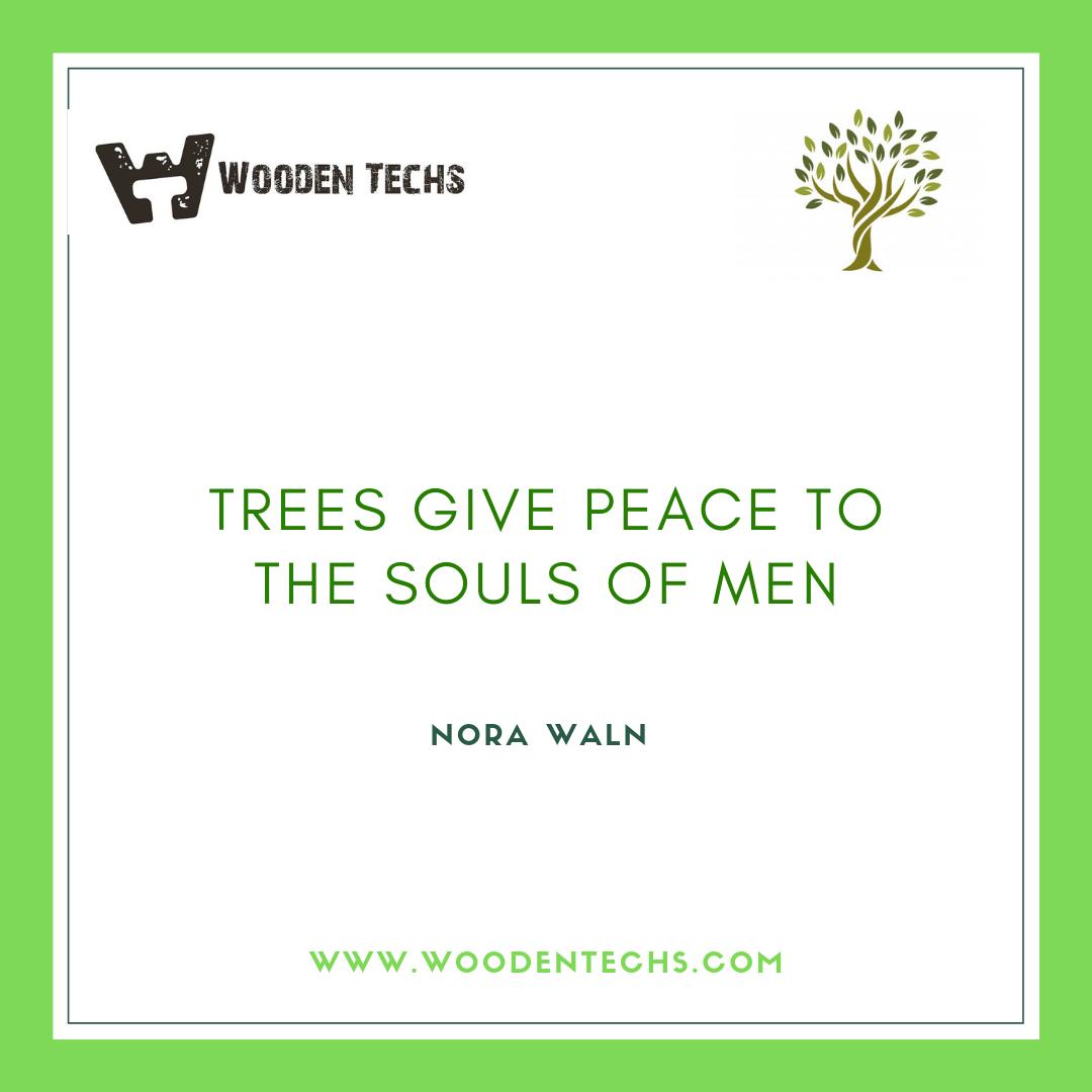 WoodenTechs's tweet image. Trees give peace to the souls of men
#woodentech #nature #naturephotography #travel #love #landscape #photooftheday #beautiful #naturelovers #sky #sunset #wildlife #winter #sun #mountains #adventure #flowers #travelphotography #life #beauty