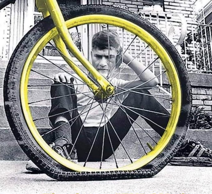 View image on Twitter