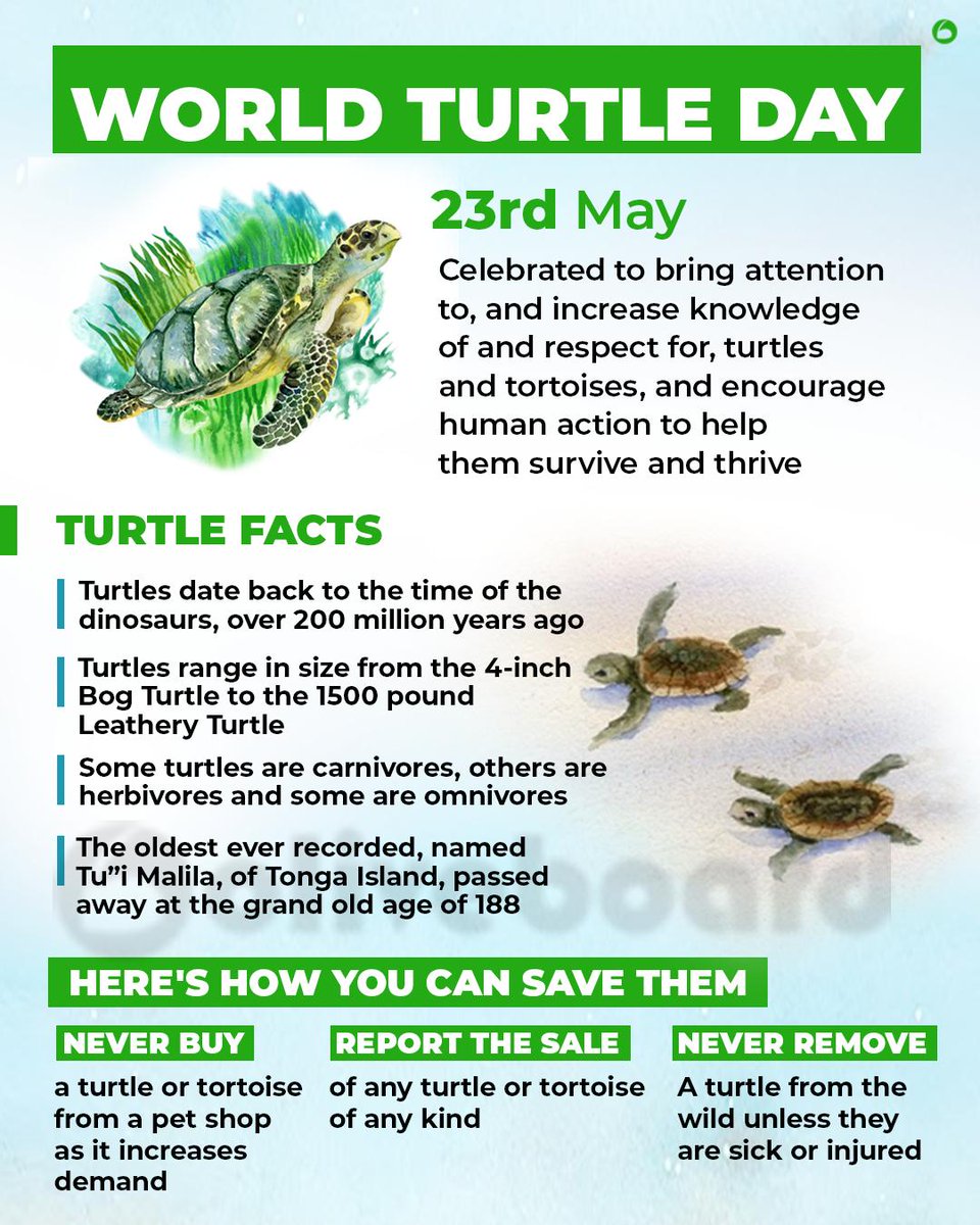 Oliveboard's tweet photo. World Turtle Day, May 23 is celebrated to bring attention to, and increase knowledge of and respect for, turtles and tortoises, and encourage human action to help them survive and thrive
#WorldTurtleDay #Oliveboard #Tortoise #BogTurtle #LeatheryTurtle #Wildlife #SaveAnimals https://t.co/8HbqfNaRQ9