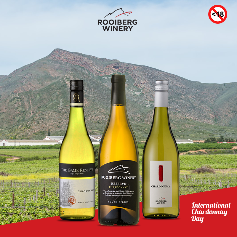 RooibergWines's tweet photo. Choose your bottle, it's International Chardonnay Day.

#rooibergwines #bepartofit #chardonnnay
#wineswithacause #liquidart https://t.co/sRySv4lBcp