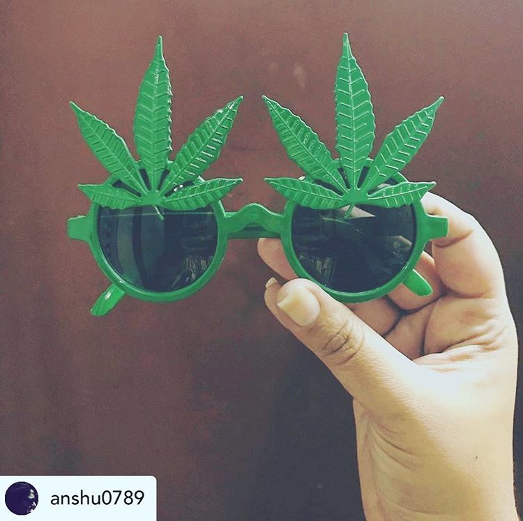 online420card's tweet photo. When life gives u peanuts, it’s always better to take the high road to exploration. Medical cannabis supporter @anshu0789 (https://t.co/nRq8ShFZry) is like many across the globe who indulge in the benefits of cannabis. #proppin it right!
#medicalcannabis #weedporn #420
#420life https://t.co/UmP2ov4l2W