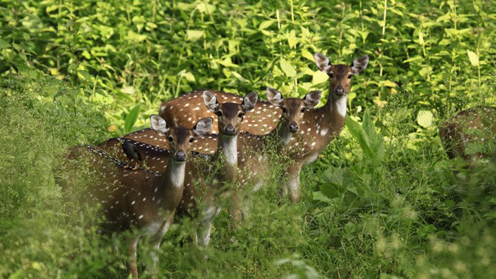 AnjanaAnilk's tweet photo. enjoy the beauty of the nature with a premium stay at ripponmount resort
https://t.co/SmE8Et5qAl
#resort #resorts #hotel #hotels https://t.co/TjaZwp7RSd