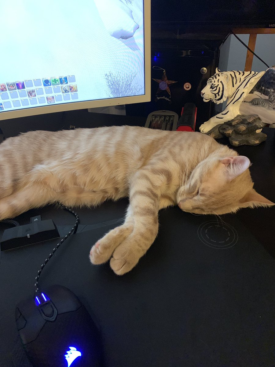 Captainbleed tweet media