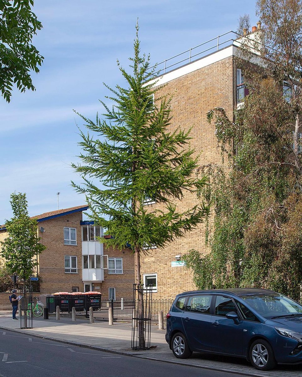 Paul Wood 🌳 tweet media