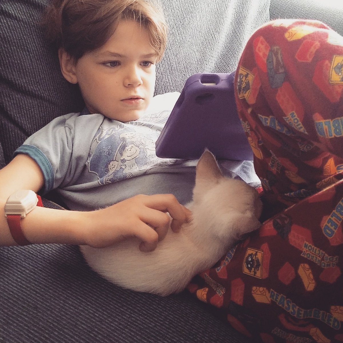 FauxPawTextiles's tweet photo. Mr. Johnson and my son, Darko #OhMrJohnson https://t.co/QPhvAeWYUT