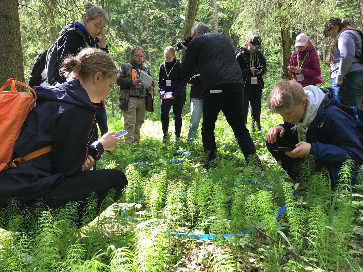 UPMGlobal's tweet photo. The forest quiz #metsävisa is in full action, check out our live blog to see how the best of class 8th grade forest experts manage in the quiz and in other challenges they face during the event! ➡️ https://t.co/N7eNDY62wh @BMOLry @MetsayhdistysRy https://t.co/2guoOAsPQY