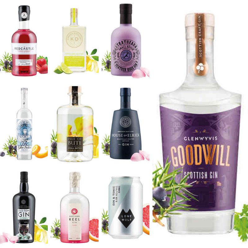 scottish_gin's tweet photo. The @LidlGB #Scottishgin festival starts today!
Top Scottish Gins on offer - @ShetlandReelGin @isleofbutegin @HouseOfElrick @ColonsayGin  @KinraraDistil @RedcastleGin @Strathearn_Gin @glenwyvis @LoneWolfGin.
Prices start £14.99. Find out what's included: https://t.co/URGLGiO0d4. https://t.co/cGT8Q8hkbS
