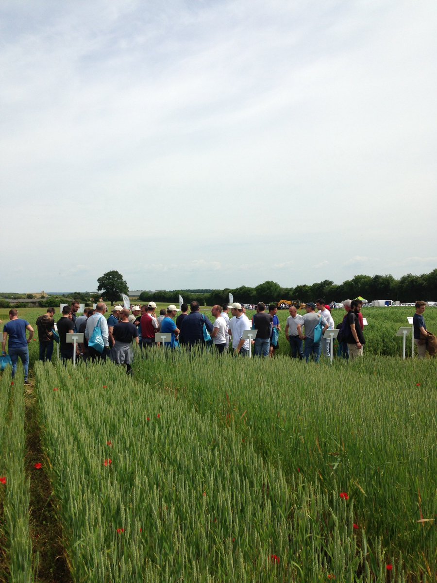 200 producteurs qui s'intéressent aux #grandescultures #bio ! C'est en #Vendée au Rallye Bio organisé par <a href="/ChambagriPdL/">Chambres agri PdL</a>, <a href="/CAVAC_/">Cavac</a> et #Geda !
