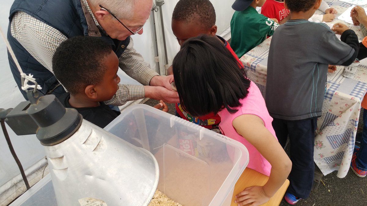 NFUEducation's tweet photo. Last year we visited @ArmitagePrimary. @primaryfoodtech spoke about how children from urban areas would be unlikely to visit an event such as the Cheshire show due to cost &amp; distance. Today after a huge amount of work he's brought the farm to the school. #FARMitage #farminghero https://t.co/4wJxu2cAW5