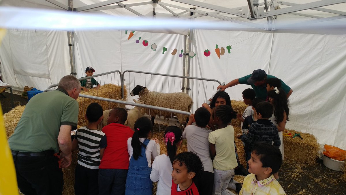 Last year we visited <a href="/ArmitagePrimary/">Armitage Primary</a>. @primaryfoodtech spoke about how children from urban areas would be unlikely to visit an event such as the Cheshire show due to cost &amp; distance. Today after a huge amount of work he's brought the farm to the school. #FARMitage #farminghero