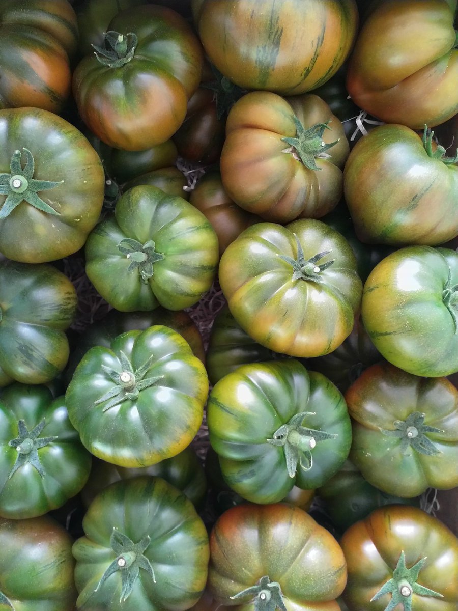 Como sabéis, nuestros productos son de temporada y de #cultivospropios, por ello esta es la última semana que tenemos #tomates 🍅 disponibles. No te quedes sin saborearlos 😋hasta la próxima campaña,  y pídelos ya antes de que se acaben 😉 #FelizJueves

#fresco #delicioso #sano