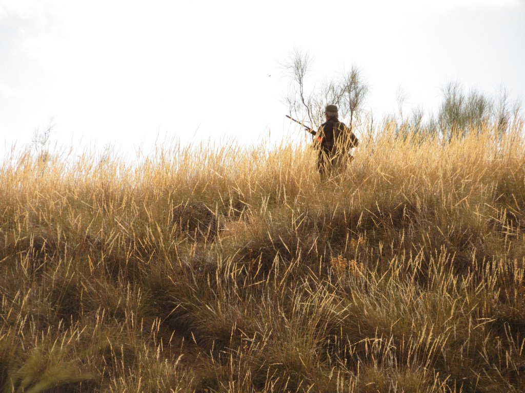 El blindaje del PP, Cs y PSOE de la caza en Castilla y León, al Consitucional cazawonke.com/actualidad/832…