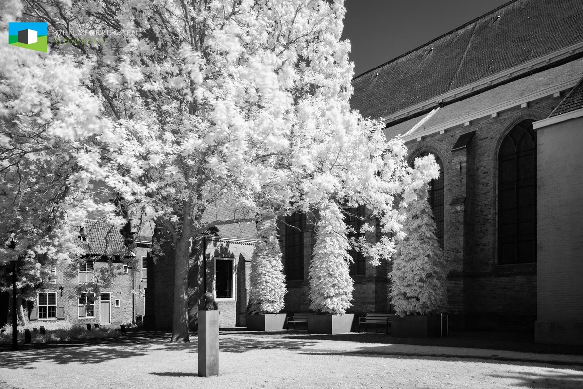 John Verbruggen tweet media