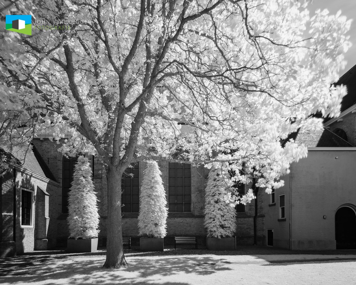 John Verbruggen tweet media