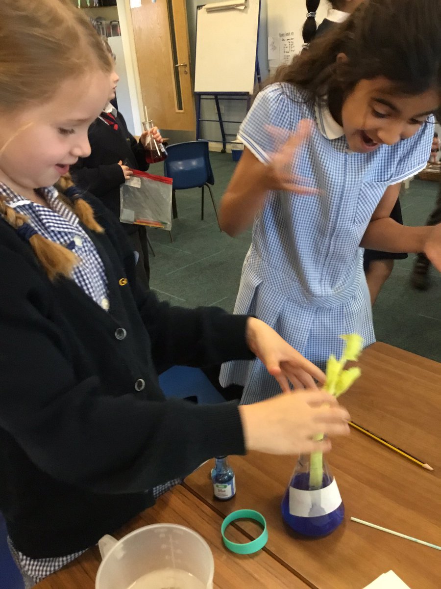 GorseyBank's tweet photo. We’ve had a great morning observing #gorseyscience lessons across the school - lots of very exciting learning going on!! 🌱🌷🌎💡🔌🌡🧪 https://t.co/rkAZYeGEGt