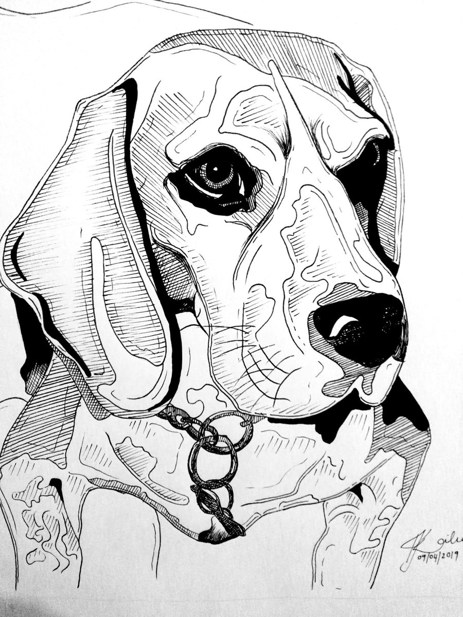 Willow Hollow Art And Design tweet media