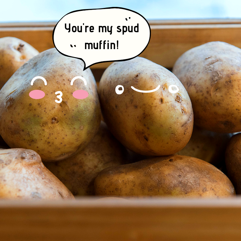 chipsagogo's tweet photo. Get your "spud muffin" a Chips a GoGo today! https://t.co/lyzT15DISL