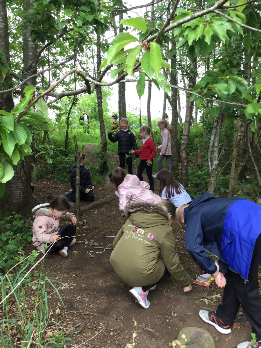 MissFranceBPS's tweet photo. P3 and P4 were out in the forest this morning creating #microjourneys for #OutdoorClassroomDay We had lots of fun problem solved no in our pairs to imagine the journey from an ants point of view π π² @FTaylor_Bankier https://t.co/4eKew5S1kM