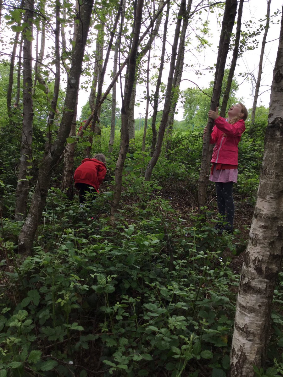 MissFranceBPS's tweet photo. P3 and P4 were out in the forest this morning creating #microjourneys for #OutdoorClassroomDay We had lots of fun problem solved no in our pairs to imagine the journey from an ants point of view π π² @FTaylor_Bankier https://t.co/4eKew5S1kM