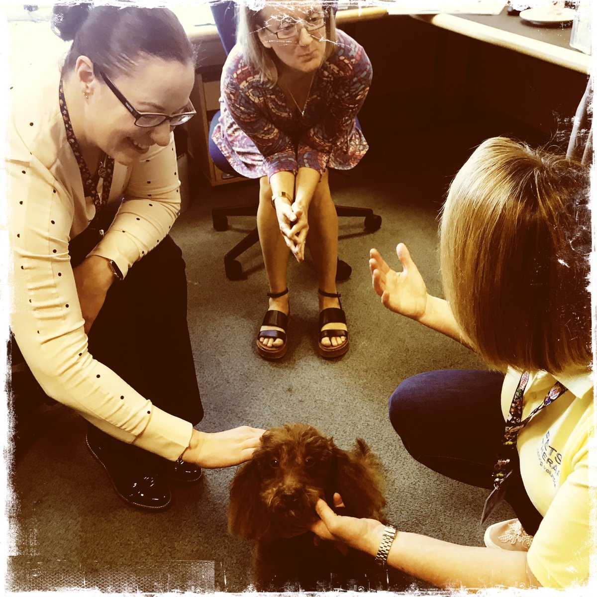 Sarah Ingleby (@nursey_sarah72) on Twitter photo Thanking our staff for all their hard work, with fruit, water and the lovely Thornton- pat dog! <a href="/StockportNHS/">Stockport NHS FT</a>
#happystaff #wellbeing Thanking our staff for all their hard work, with fruit, water and the lovely Thornton- pat dog! <a href="/StockportNHS/">Stockport NHS FT</a>
#happystaff #wellbeing
