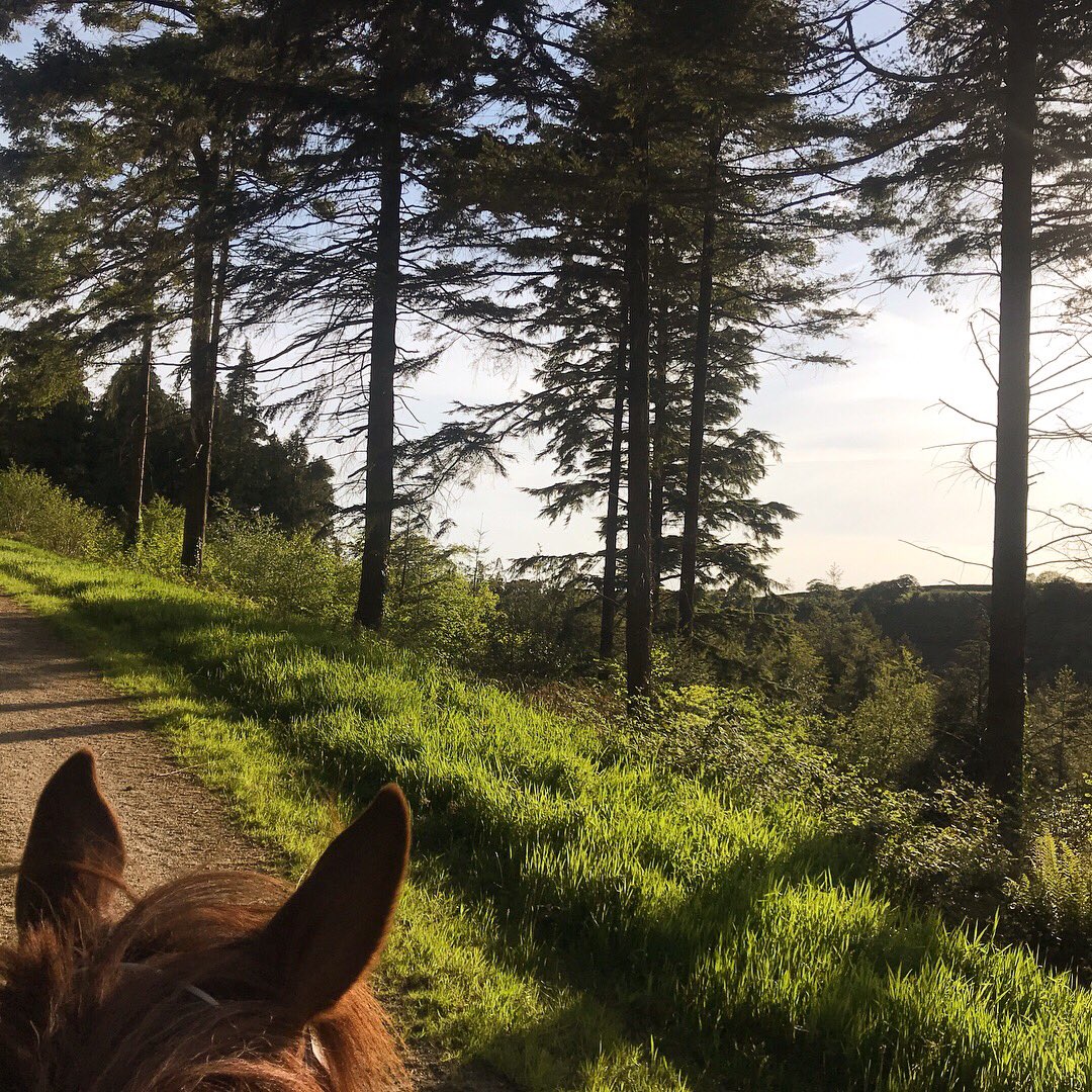 Cornwall Tourism Office (@officecornwall) on Twitter photo Yes we have amazing beaches, but who else loves to get out and explore our countryside #cornwallbyhorseback#lovecornwall Yes we have amazing beaches, but who else loves to get out and explore our countryside #cornwallbyhorseback#lovecornwall