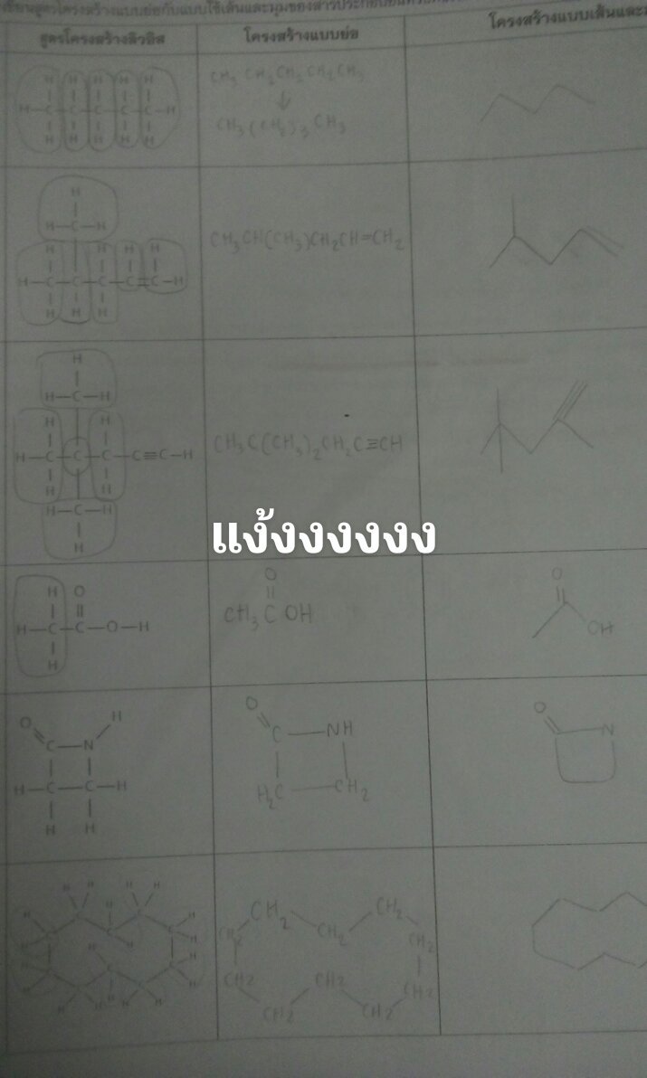 แมวเจอไรเซอร์ tweet media