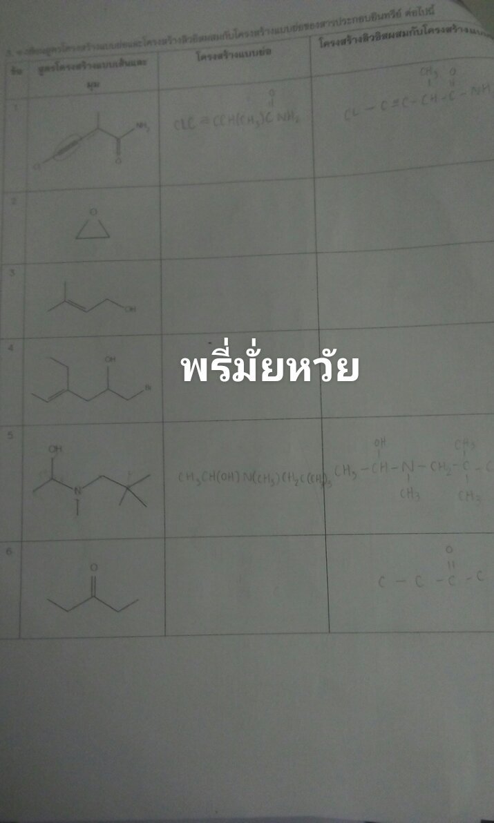 แมวเจอไรเซอร์ tweet media