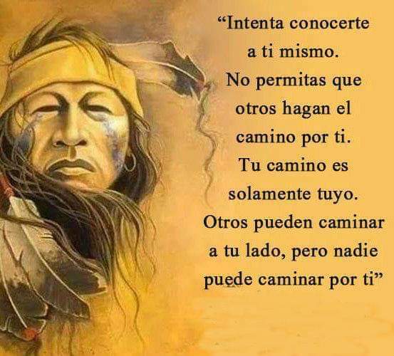 MariaCh55848631's tweet photo. Buenos días 👌👏👌👌 https://t.co/MypAjs5Jbo