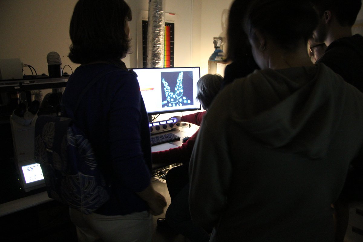 The first #i3S #MicroDay was pretty cool! Kids had lots of fun learning about #microscopy and they were spellbound by what they saw in our  🔬 facilities.
Thanks, @PPBioImaging, for pushing the initiative 🙂
#i3Sedu #PPBI