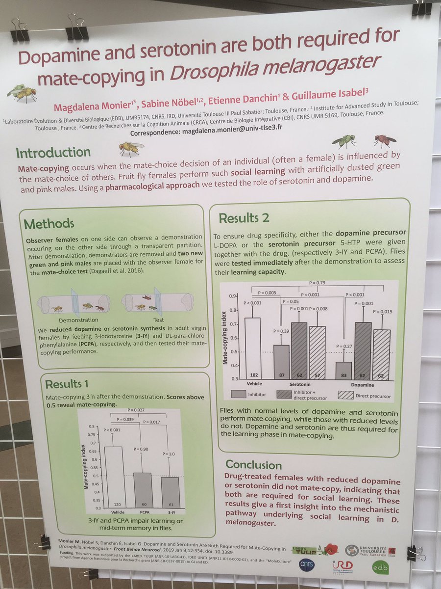 Dr Kris Sales tweet media