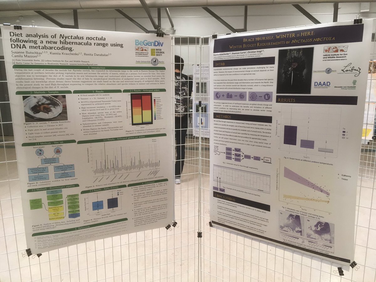 Dr Kris Sales tweet media