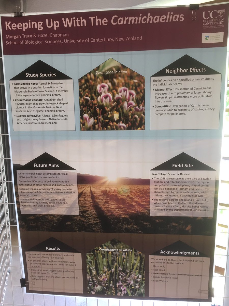 Dr Kris Sales tweet media