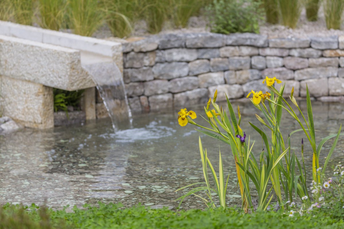 We loved The Harmonious Garden of Life! #RHSChelsea 
<a href="/BOSNorfolk/">puravida creative</a> 
<a href="/MargheritiVivai/">Margheriti Piante</a> 
<a href="/The_RHS/">The RHS</a>