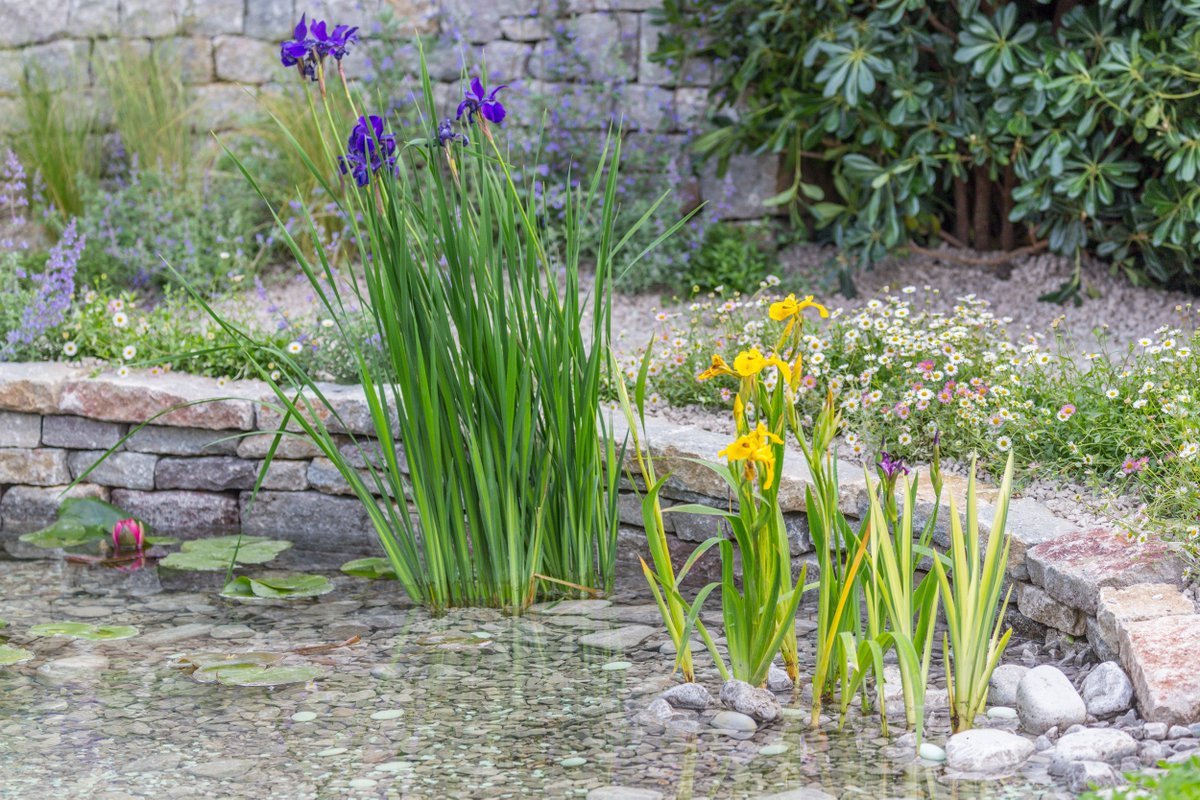 OG Media Solutions tweet media