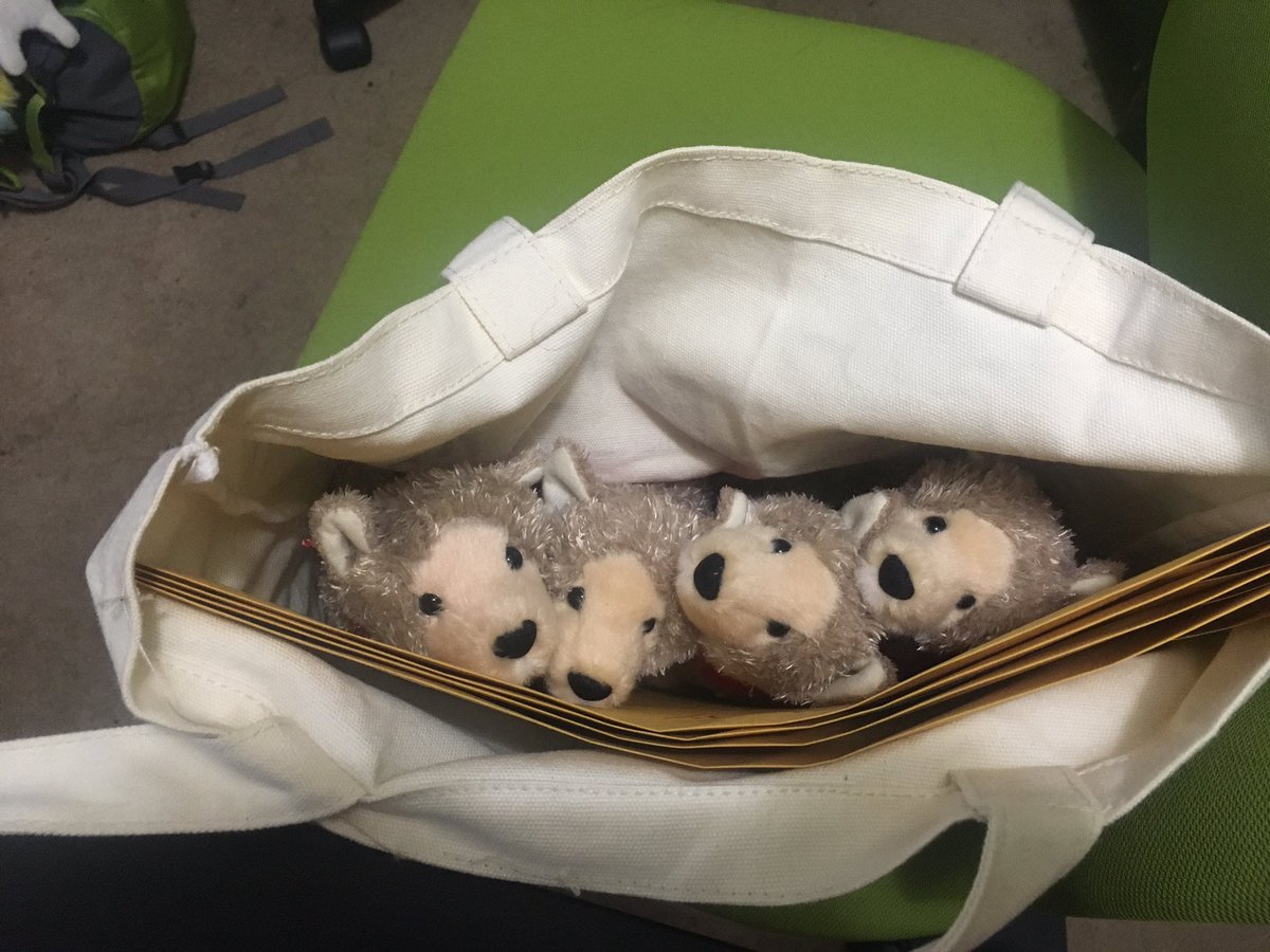 Four little faces, ready to travel to <a href="/Furlandia/">Furlandia 2026: Wild Wild Furry West</a>... and beyond!