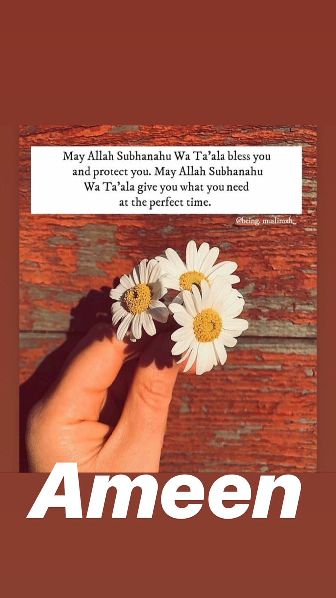 saherWarsi7's tweet photo. Ameen 🤲🏻🙏🏻 #islam #peace #love #Muslim #muslimah #salah #fasting #Quran #hajj  #zakat #iman #jannah #prayers #sunna #dua #subhanallah #allhumdullilah #allahuakbar #noble #day #of #tesurrection #deen #dunya #akhira #hadith https://t.co/3KI2fB0Jho