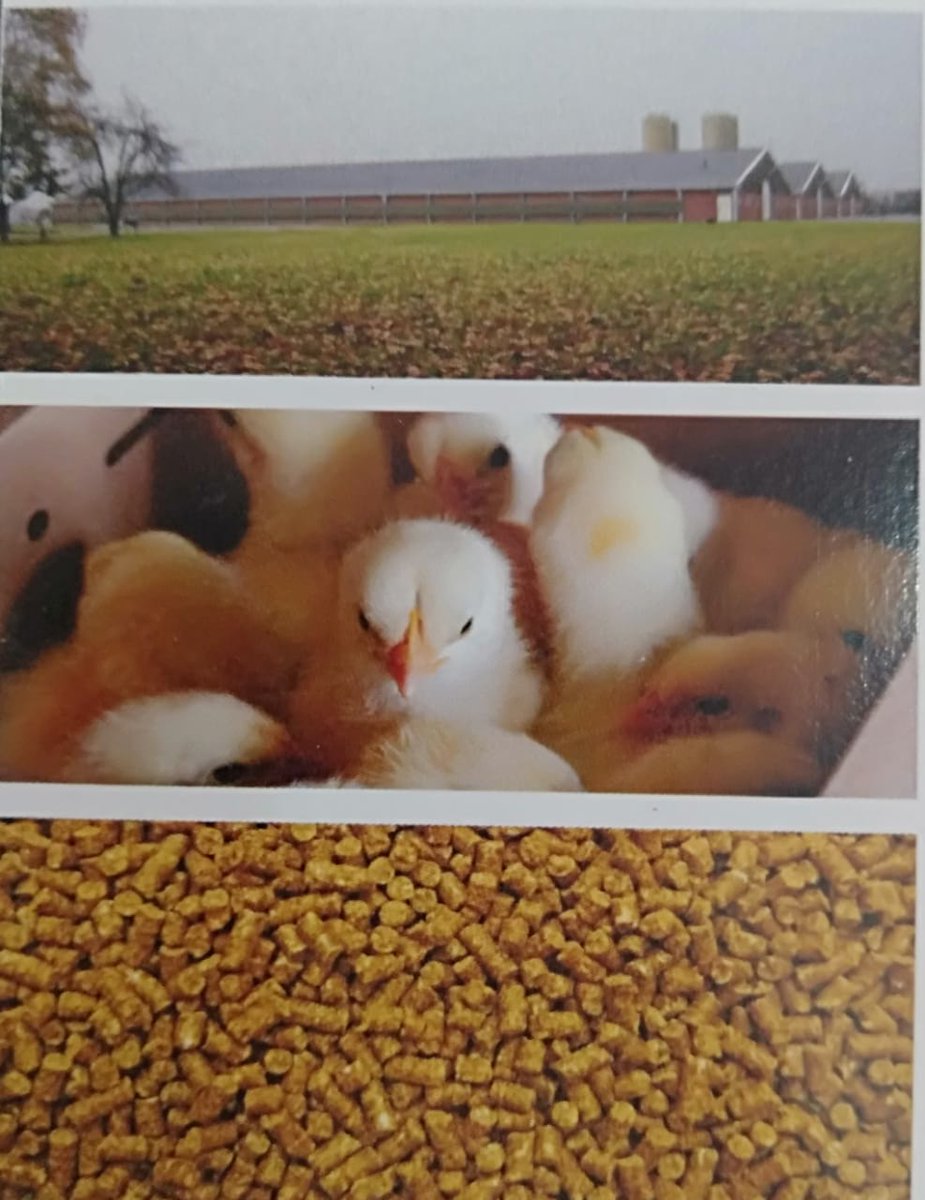 Promois's tweet photo. Threonine

Promois encapsulated L-Threonine is the necessary complemented of L-Lysine for which it optimizes the use by animals for body protein deposition and weight gain. 

For More Information Mail Us At - customercare@promois.ru
Website- https://t.co/DVDGERWfIF https://t.co/1xiTzXFh59