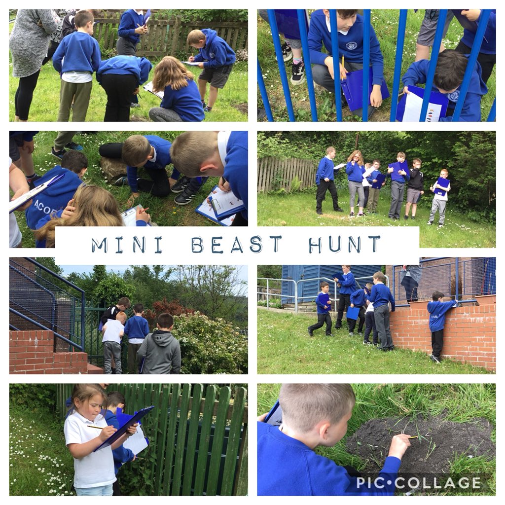 CCPPSchool's tweet photo. The children thoroughly enjoyed their mini beast hunt yesterday ๐๐ฆ๐๐ #ccpfp #ccp34 #ccpoutdoors #ccpfun #ccpsci https://t.co/wWY0olLbJt