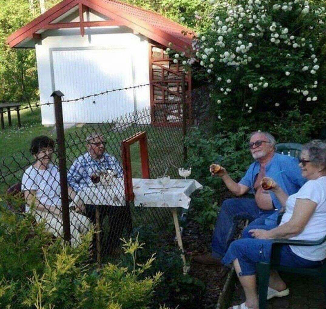 Картинки красивые, картинки соседи по даче