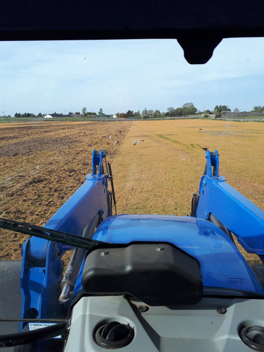 Wild Bird cover available